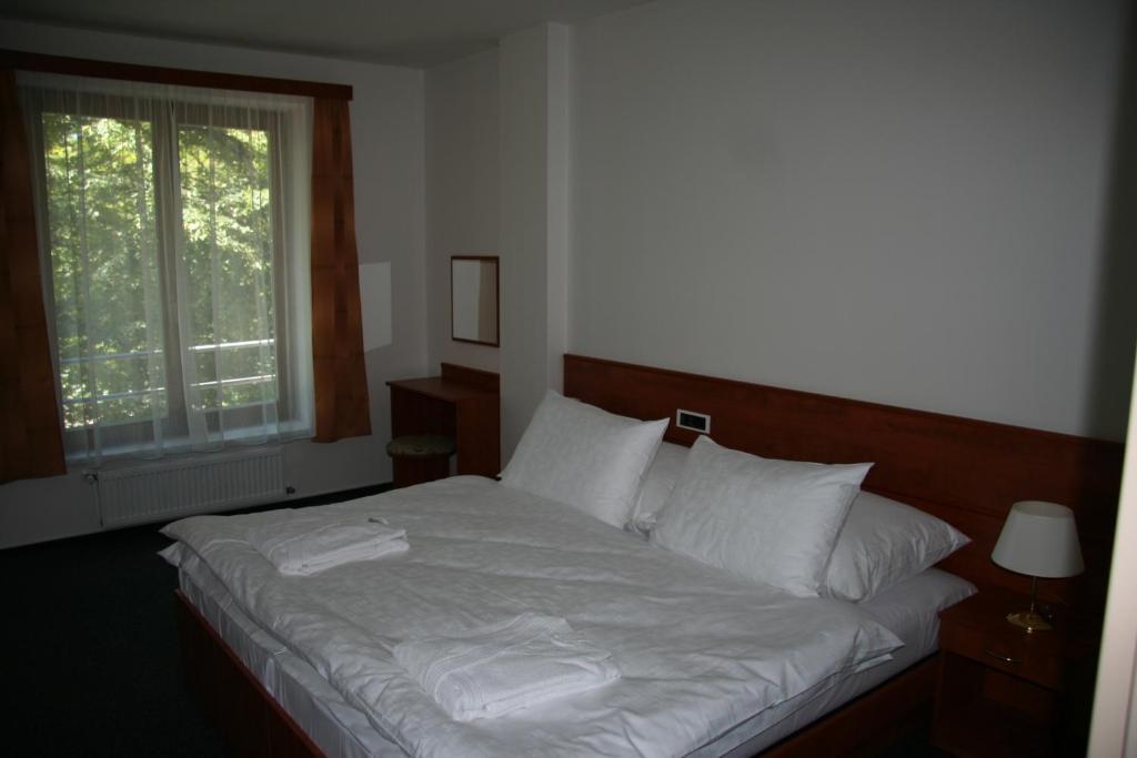 Lazensky Hotel Park Podebrady Room photo